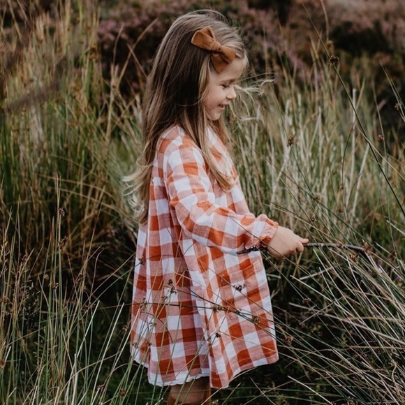 Little Cotton Clothes Other - Beautiful Little Cotton Clothes, Baby/Toddler Gingham Dress